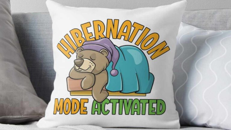 Hibernation Mode Activated